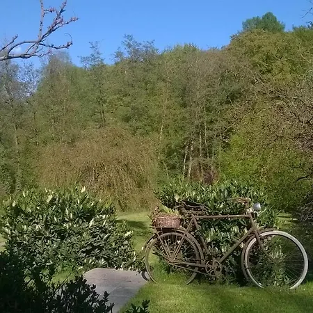 Domaine 