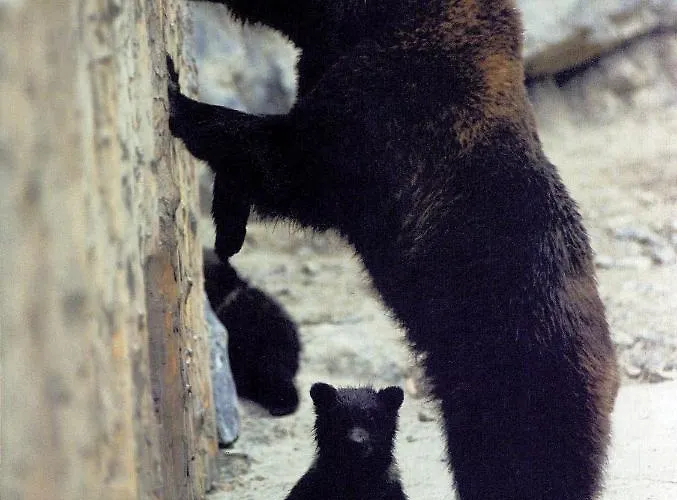 Casa vacanze Domaine 