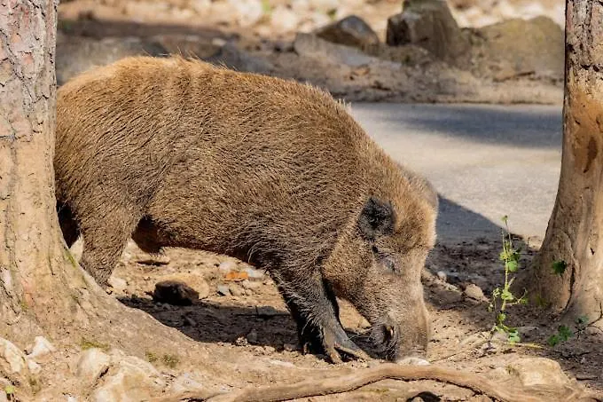 Casa vacanze Domaine 